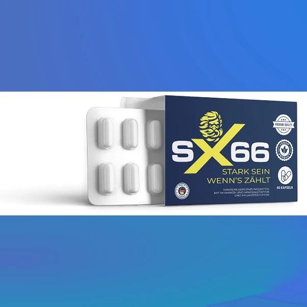 SX 66
